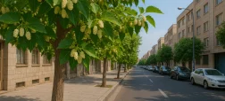 آیا خوردن توت درختان در خیابان‌های تهران و شهرهای بزرگ بی خطر است؟