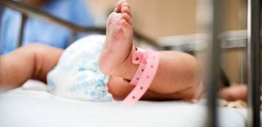 کاهش چشمگیر نرخ تولد طی ۳۰ سال اخیر با وجود افزایش جمعیت زنان در سن بارداری 