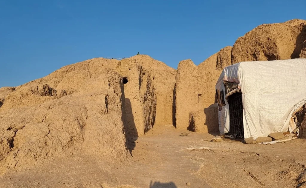 کُنار صَندل