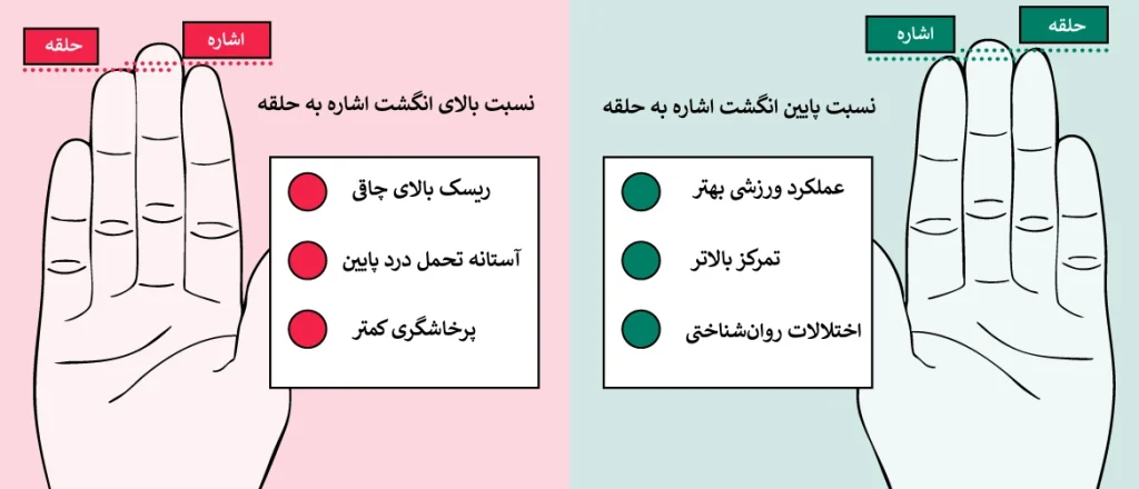 نسبت ۲D:4D