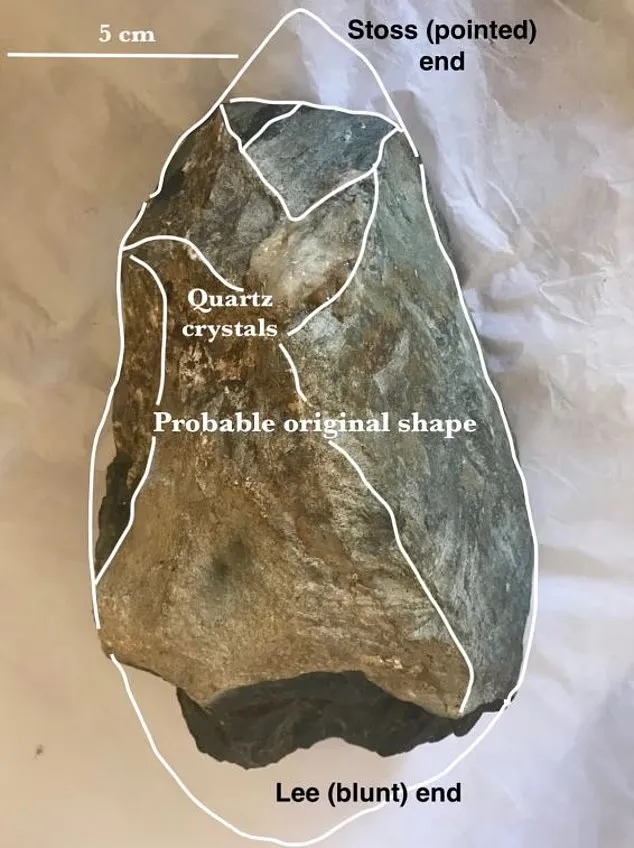 سنگ نیوال