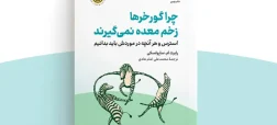 معرفی «کتاب چرا گورخرها زخم معده نمی‌گیرند»؛ راهنمای جامع استرس