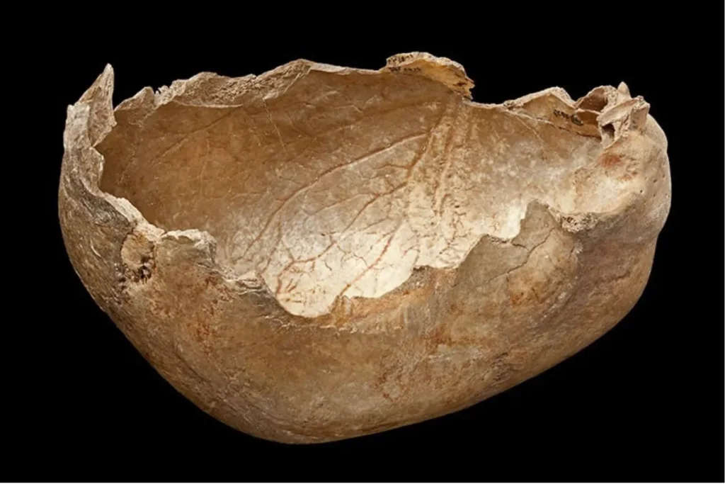 جمجمه