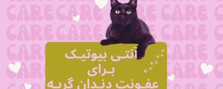 آنتی بیوتیک برای عفونت دندان گربه