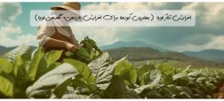 افزایش تناژ لوبیا (بهترین کودها برای افزایش باردهی+ گلدهی لوبیا)