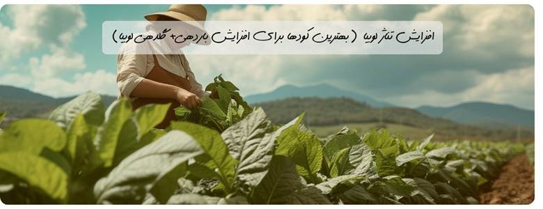 افزایش تناژ لوبیا (بهترین کودها برای افزایش باردهی+ گلدهی لوبیا)