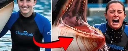 حقیقت پشت پرده ویدیوی هولناک حمله نهنگ قاتل به جسیکا رادکلیف