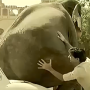 تبلیغ خلاقانه پژو ۲۰۶ در هند در سال ۲۰۰۳ + ویدیو