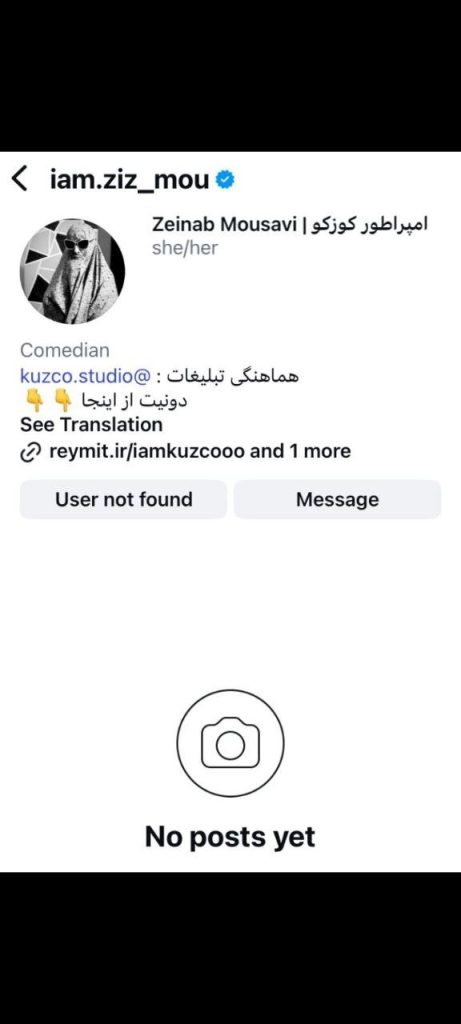 صفه اینستاگرام زینب موسوی