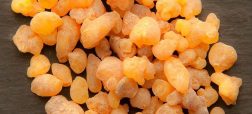 با طرز تهیه جالب آدامس سقز آشنا شوید + ویدیو