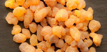 با طرز تهیه جالب آدامس سقز آشنا شوید + ویدیو