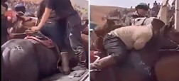 درگیری مغول‌ها