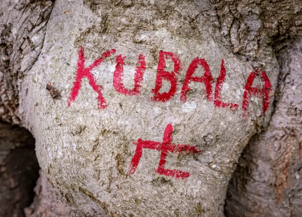 پادشاهی کوبالا