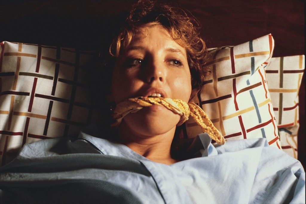 ۱۰ فیلم ترسناک کلاسیک قبل از سال ۲۰۰۰ که باید ببینید؛ از Spider Baby تا White Dog