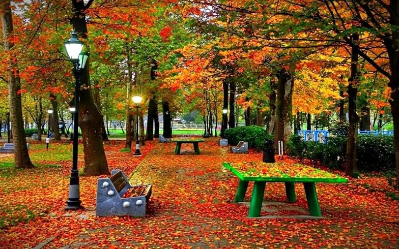 راهنمای اجاره ویلا رشت از گلسار تا خمام