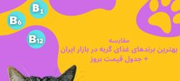 معرفی بهترین غذاهای گربه + جدول قیمت بروز
