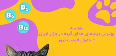 معرفی بهترین غذاهای گربه + جدول قیمت بروز