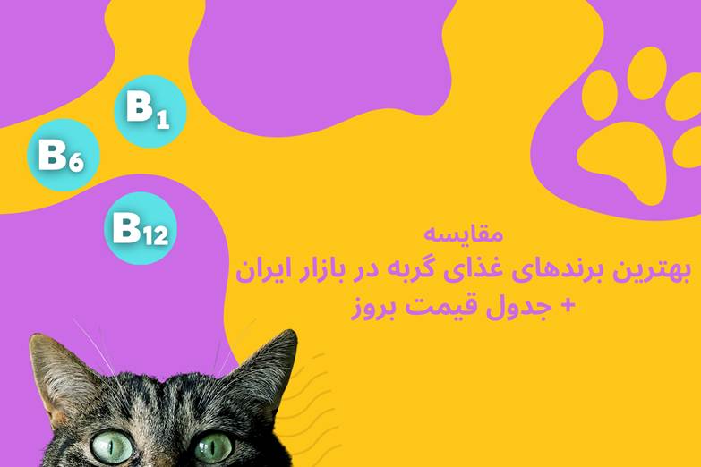 معرفی بهترین غذاهای گربه + جدول قیمت بروز