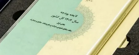 جهش نجومی بودجه نهادهای خاص؛ رشد ۹۶۱۶ درصدی بودجه برخی نهادها طی ۶ سال