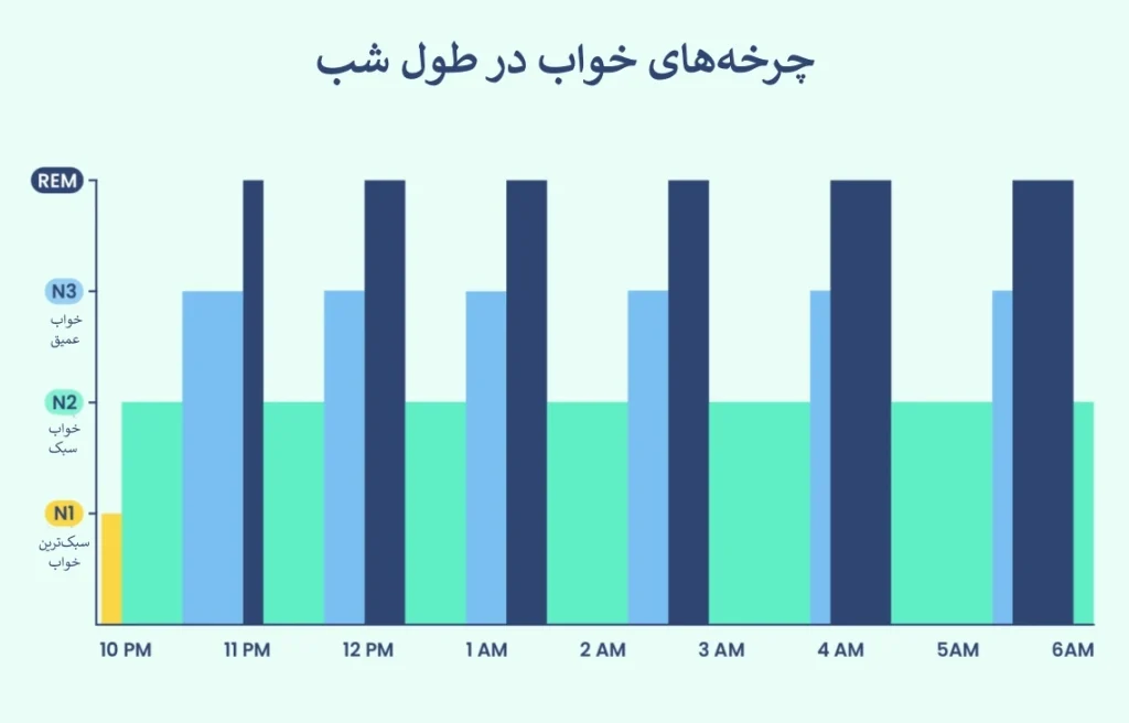 چرخه‌های خواب