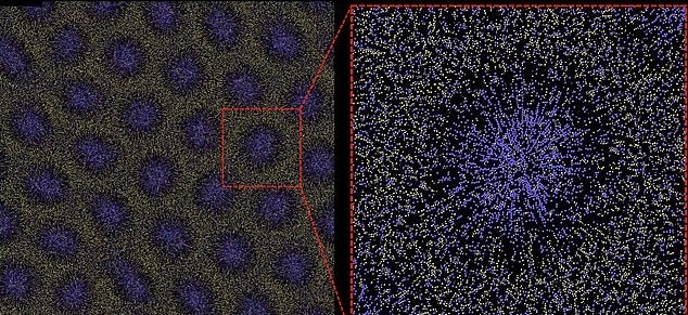 الگوهای روی پوست جانوران