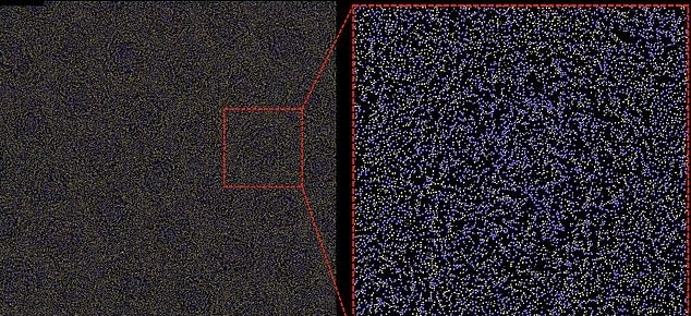 الگوهای روی پوست جانوران