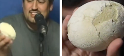 تخم دایناسور
