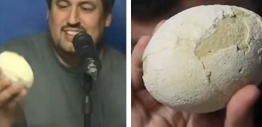 کشف تخم دایناسور ۷۰ میلیون ساله در آرژانتین در شرایطی بسیار نادر + ویدیو