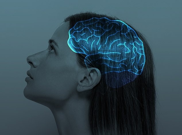 اوج عملکرد مغز انسان در چند سالگی است؟ نتایج غیرمنتظره یک پژوهش جدید