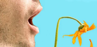 علل پنهان بوی بد دهان و راه‌های درمان قطعی آن؛ از کجا بفهمیم مشکل جدی است؟
