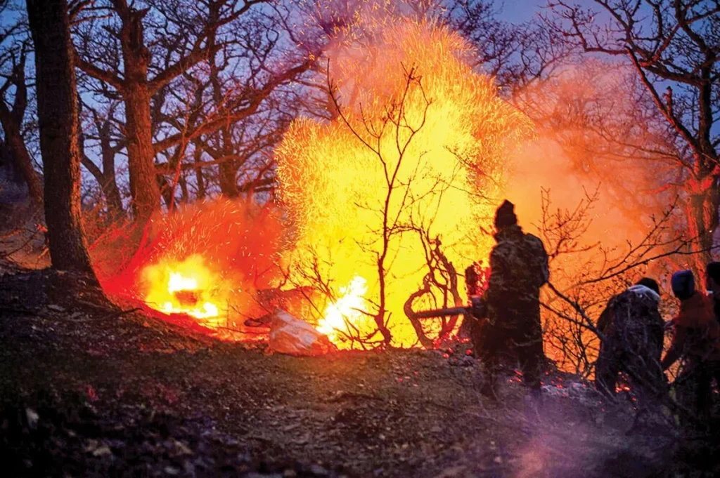 اولین تصاویر از حجم خسارت آتش‌سوزی جنگل‌های الیت مازندران + ویدیو