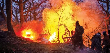 اولین تصاویر از حجم خسارت آتش‌سوزی جنگل‌های الیت مازندران + ویدیو