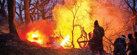 اولین تصاویر از حجم خسارت آتش‌سوزی جنگل‌های الیت مازندران + ویدیو