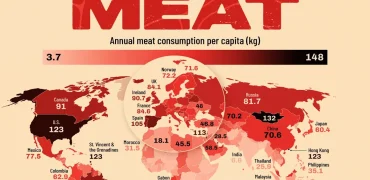 سرانه مصرف گوشت در جهان بر اساس آمار سازمان فائو + جایگاه نگران کننده ایران