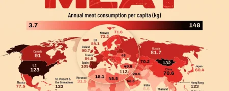 سرانه مصرف گوشت در جهان بر اساس آمار سازمان فائو + جایگاه نگران کننده ایران