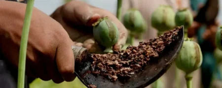 ماجرای واردات ۷۲ هزار میلیارد تومان تریاک چیست؟