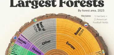 اینفوگرافی کشورهایی که بیشترین سهم را از جنگل‌های کره زمین دارند + جایگاه ایران