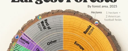 اینفوگرافی کشورهایی که بیشترین سهم را از جنگل‌های کره زمین دارند + جایگاه ایران