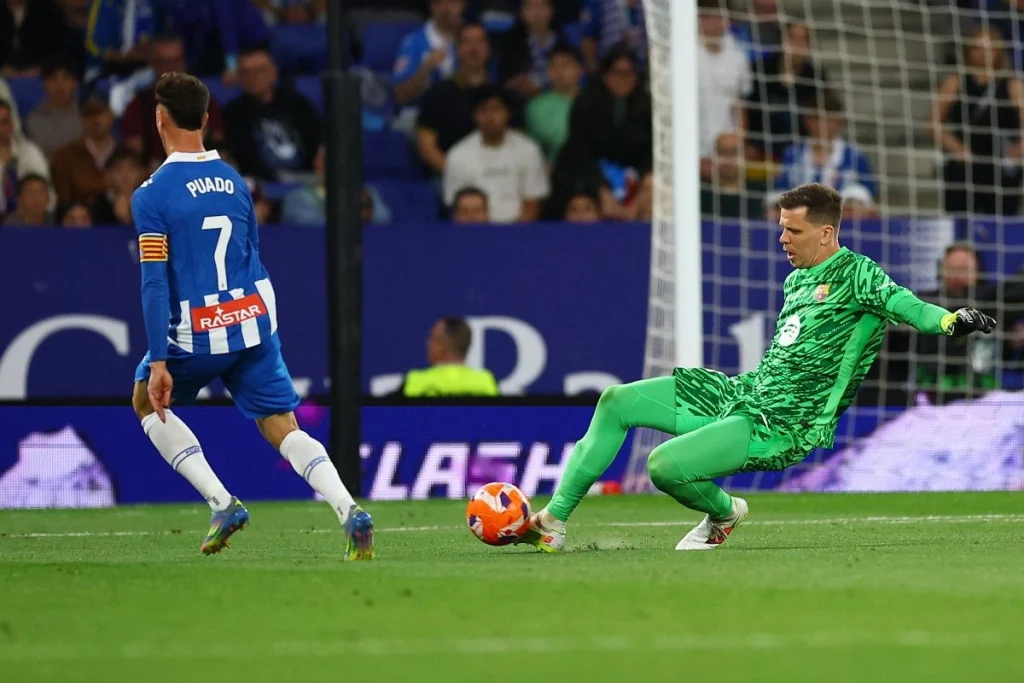 وویچیخ شچنسنی