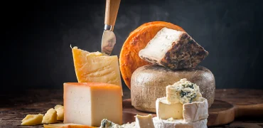 ۸ نوع از بهترین پنیرها برای سلامت بدن؛ کدام برای قلب و کدام برای کنترل وزن مفید است؟