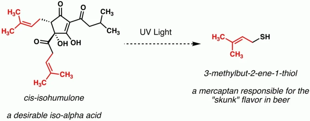 رنگ بطری های ماءالشعیر