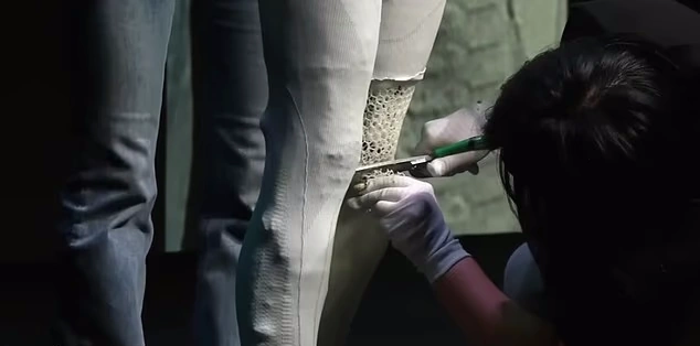 ربات انسان‌نمای IRON