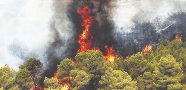 پوشش گسترده آتش‌سوزی در کالیفرنیا توسط صداوسیما و بی‌توجهی به جنگل‌های هیرکانی