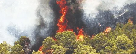 پوشش گسترده آتش‌سوزی در کالیفرنیا توسط صداوسیما و بی‌توجهی به جنگل‌های هیرکانی