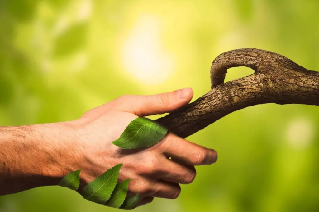 مردم کدام کشورها بیشترین میزان ارتباط با طبیعت را دارند؟ ایران رتبه دوم جهان!‍