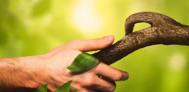 مردم کدام کشورها بیشترین میزان ارتباط با طبیعت را دارند؟ ایران رتبه دوم جهان!‍