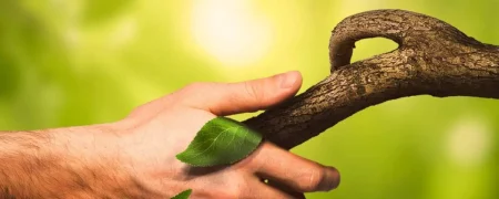 مردم کدام کشورها بیشترین میزان ارتباط با طبیعت را دارند؟ ایران رتبه دوم جهان!‍