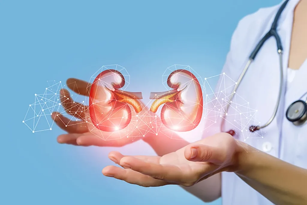 renal-cortical-cyst-4-1024x683.webp