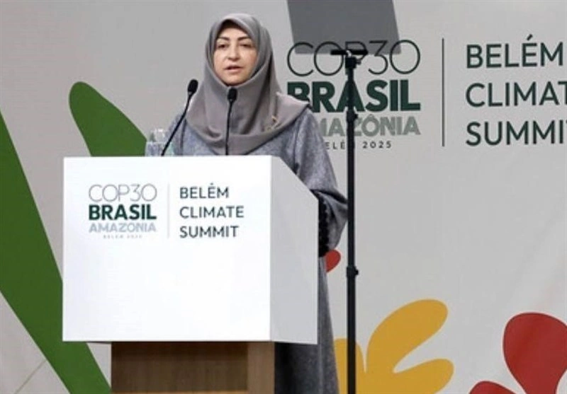 شینا انصاری در برزیل