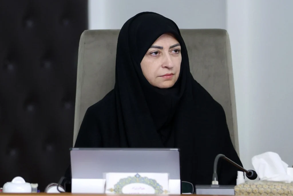 ماجرای درخواست بودجه ۵۰ میلیاردی سازمان حفاظت محیط زیست و واکنش شینا انصاری